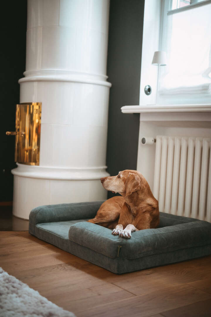 HUNTER Orthopädisches Hunde-Sofa Melun